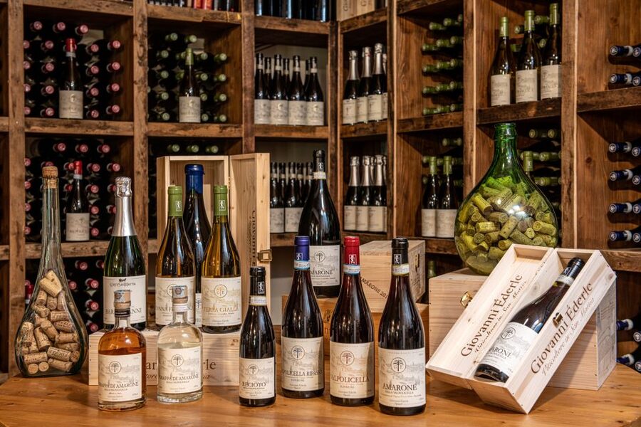 Verona: Wine Tasting with Snacks and Panoramic Views - Who Will Enjoy This Best