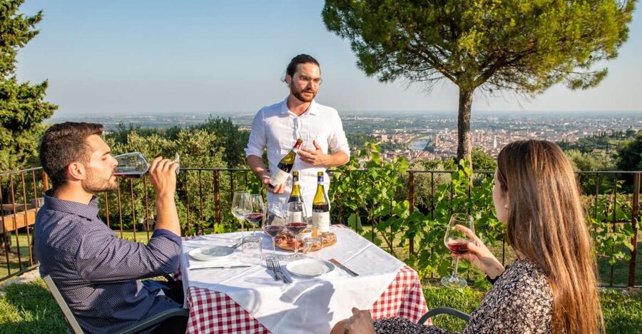 Verona: Wine Tasting with Snacks and Panoramic Views - Walking Through the Vineyards and Winery