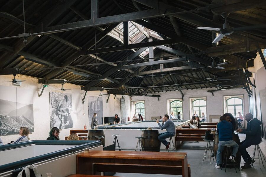 Vila Nova de Gaia: Port Wine Tasting with Cheese Pairing - What Quevedo adds to the experience