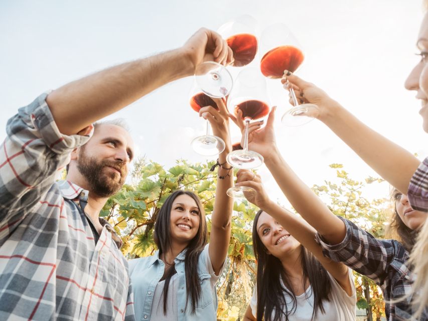 Vineyard Sips: Family Winery Tour & Gourmet Tasting in Corfu - Kakotrigis, Rose, and the three-glass tasting