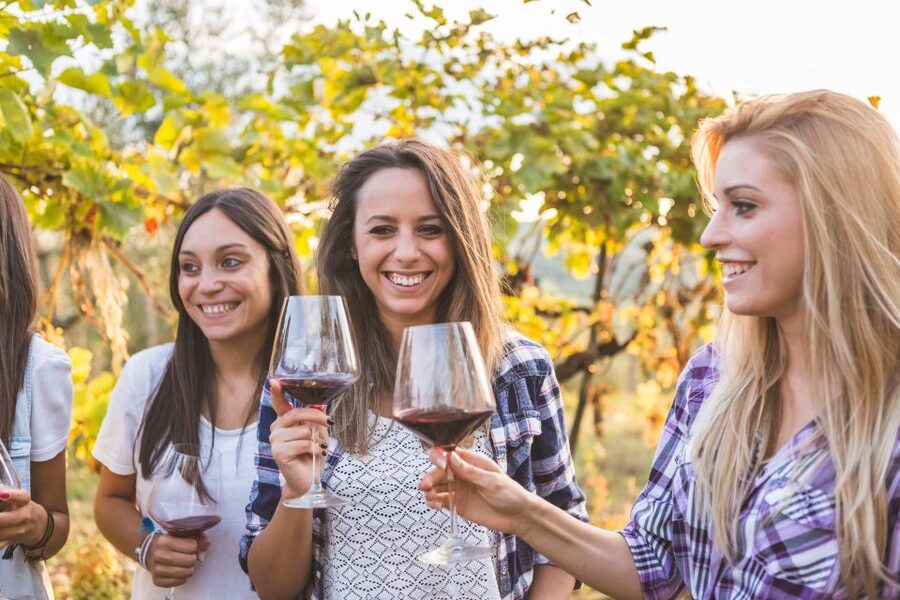 Vineyard Sips: Family Winery Tour & Gourmet Tasting in Corfu - Bruschetta, cheese, and garden ingredients