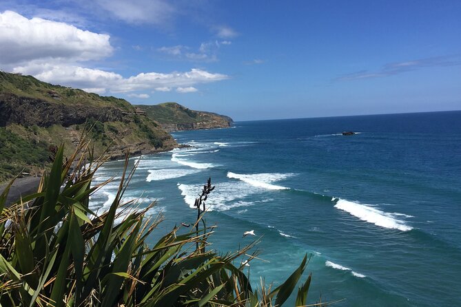 Vineyards Honey and Black Sand Beaches from Auckland - Three wineries and one wild coast in six hours