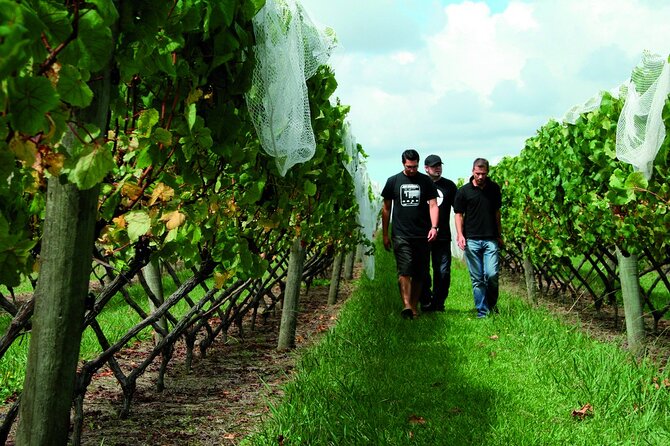 Vineyards Honey and Black Sand Beaches from Auckland - Pickup details and small practical concerns