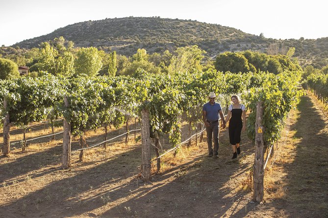 Visit 4 Wineries in Limo Party Bus-Includes Charcuterie Lunch! - Why this Sedona wine tour works well
