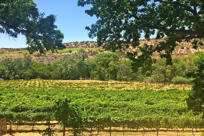 Visit 4 Wineries in Limo Party Bus-Includes Charcuterie Lunch! - The route from Sedona to Verde Valley