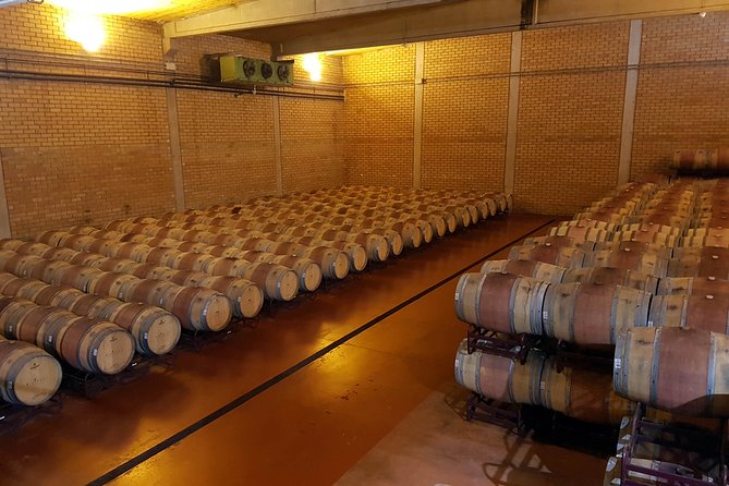Visit and wine tasting with sausage and BODEGA PIRINEOS cheese - From grape reception to finished bottle