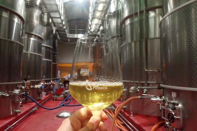 Visit and wine tasting with sausage and BODEGA PIRINEOS cheese - Underground bottles and the bottling machine