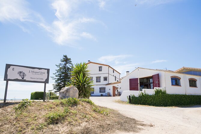 Viticulture and Wine-Tasting 3-Hour Trip from Barcelona - Four wines, local cheese, and cured ham