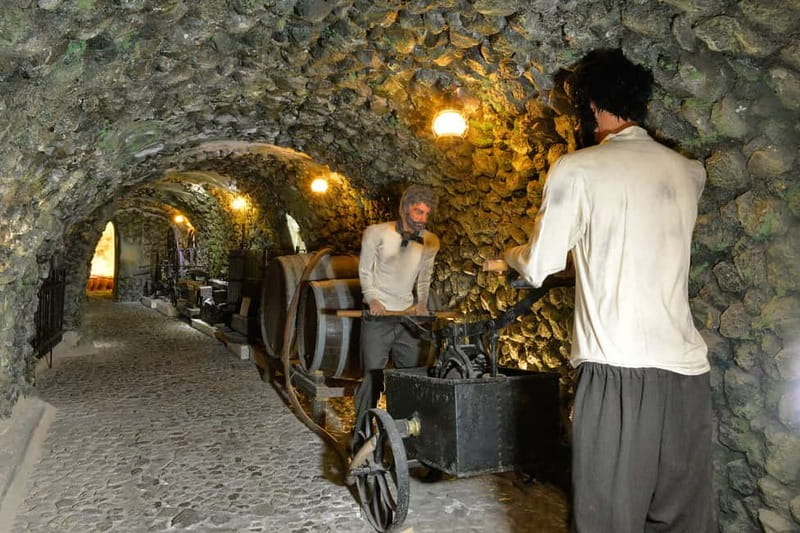Vothonas: Wine Museum Ticket with Tastings and Audio Guide - What the wines mean in practical terms