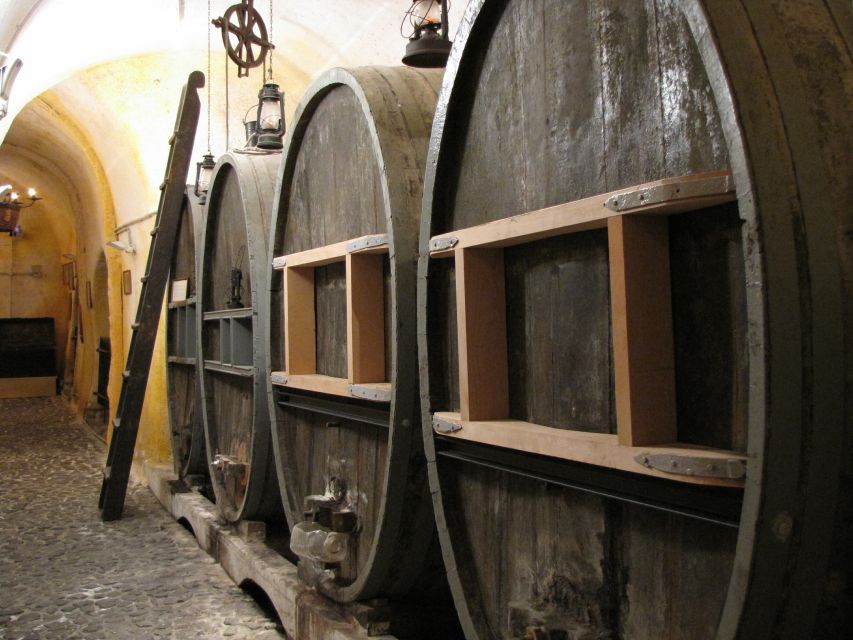 Vothonas: Wine Museum Ticket with Tastings and Audio Guide - Who will enjoy this most