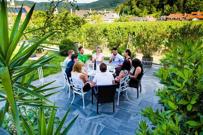 Wachau Valley Small-Group Tour and Wine Tasting from Vienna - Why the Wachau Valley makes a good day from Vienna