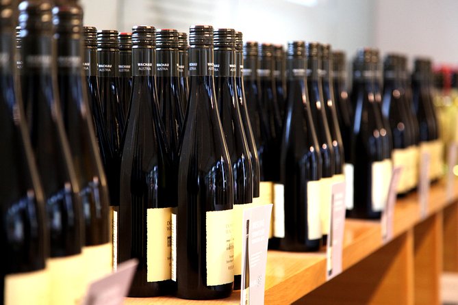 Wachau Valley Wine Tasting Bike Tour from Vienna - The social side of the ride