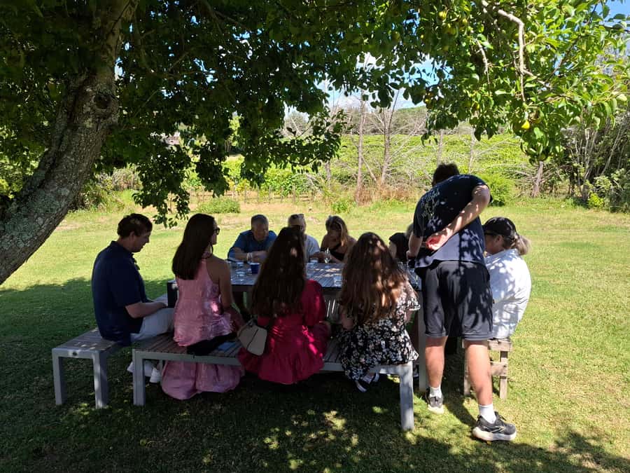 Waiheke Island: Sip and Savor 3 Vineyards Tour with Lunch - The guides are a major part of the experience