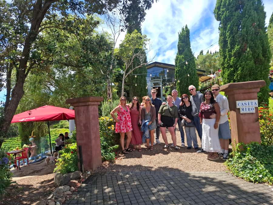 Waiheke Island: Sip and Savor 3 Vineyards Tour with Lunch - What the wine and food program really offers