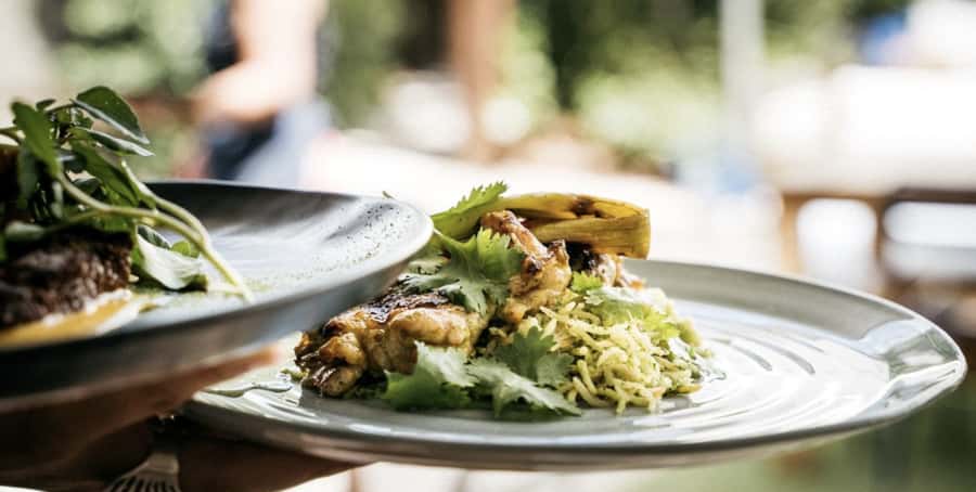Waiheke Island: Wine Tour & Lunch at Award Winning Venue - The best parts of the Waiheke wine day