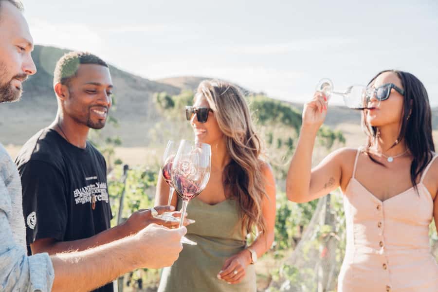 Waiheke Island: Wine Tour & Lunch at Award Winning Venue - From Auckland Harbour to Matiatia Wharf