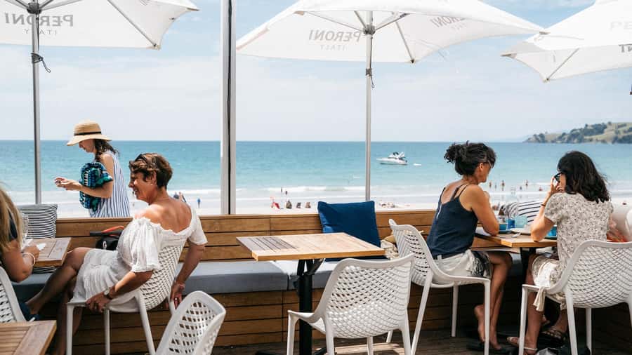 Waiheke Island: Wine Tour & Lunch at Award Winning Venue - Who will enjoy this Waiheke tour most?