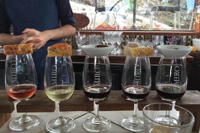 Waiheke island Wine Tours - PREMIUM wine tasting MAX 11 clients ! - Getting from Auckland to Matiatia Wharf