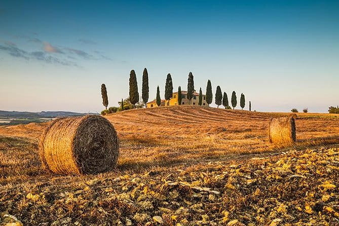 Walking Food Tour of Florence with Tastings and Wine - Timing, Weather, and Group Details