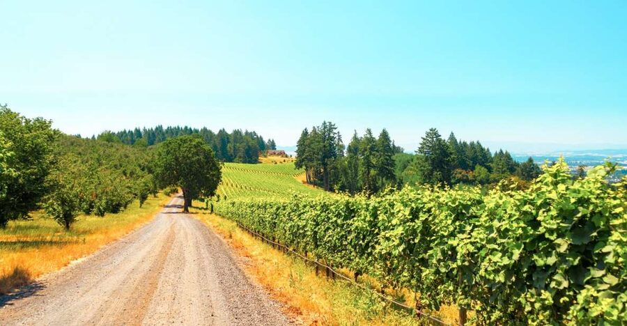 Willamette Valley Wine Tour - Key points at a glance