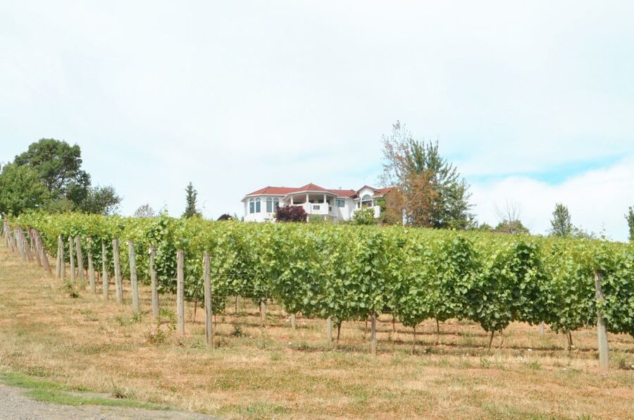 Willamette Valley Wine Tour - Why the Willamette Valley is worth your day