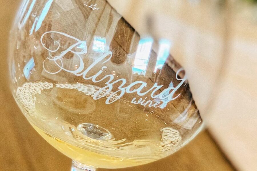 Willamette Valley Wine Tour - Two more tastings, with time to compare