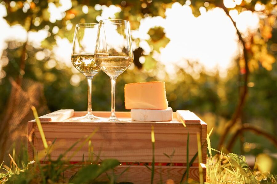 Willamette Valley Wine Tour - What the wine stops are like