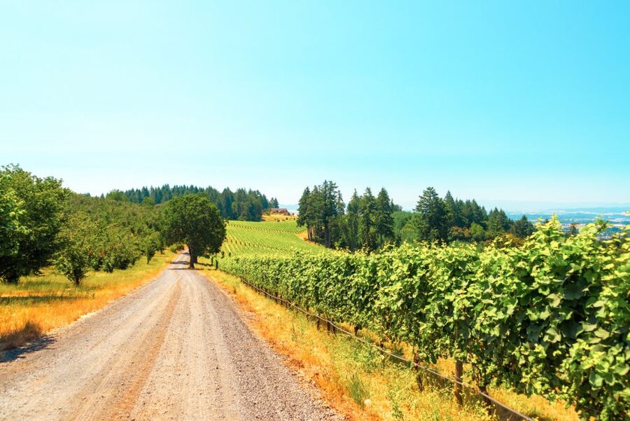 Willamette Valley Wine Tour - Is $140 a fair price?