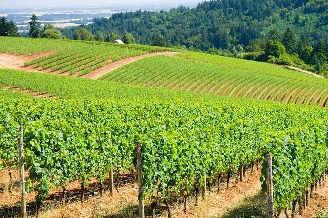 Willamette Valley Wine Tour with Lunch - Leaving Portland for Oregon wine country