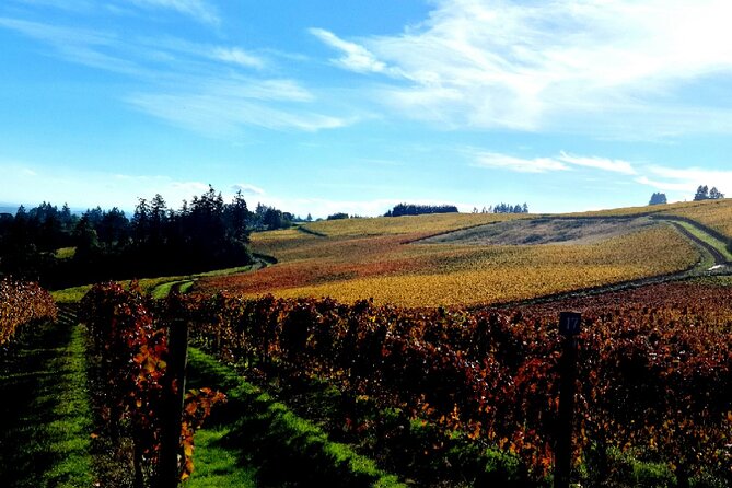 Willamette Valley Wine Tour with Lunch - Who will enjoy this Willamette Valley day