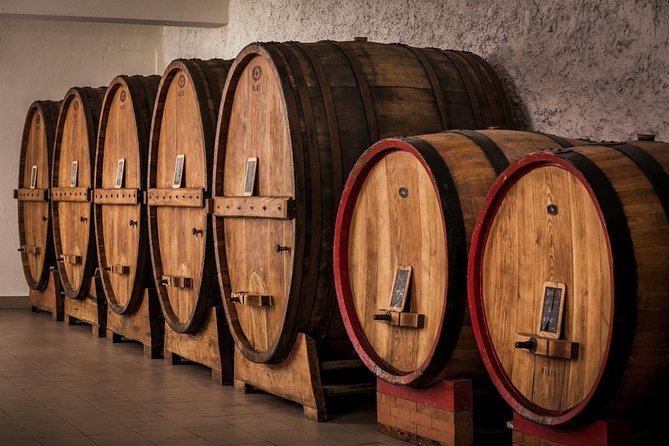 Wine and Cheeses - Who will enjoy Tili 21 Cantina Bio most