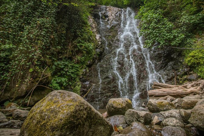 Wine and Dine Tour To Batumi Waterfalls - Mountainous Adjara - Two hours at Shervashidze Wine Cellar