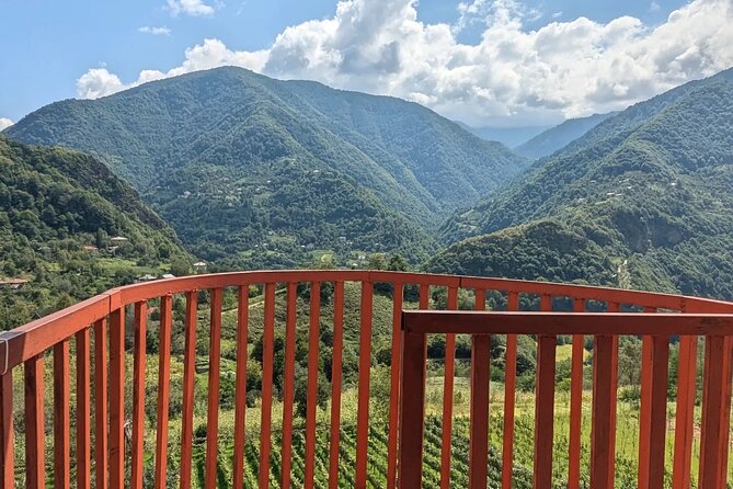 Wine and Dine Tour To Batumi Waterfalls - Mountainous Adjara - English service and practical cautions