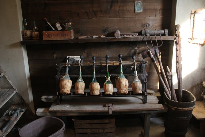 Wine and food tasting in an organic family winery - The farm walk connects wine to everyday Tuscan life