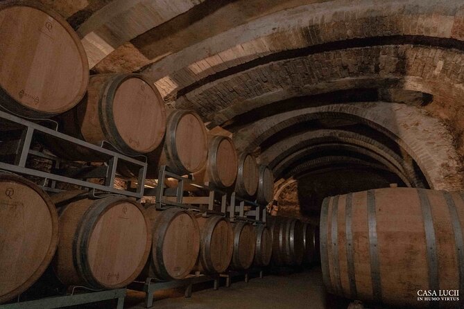 Wine and food tasting in an organic family winery - The cellar and vinsantaia add depth to the wine story