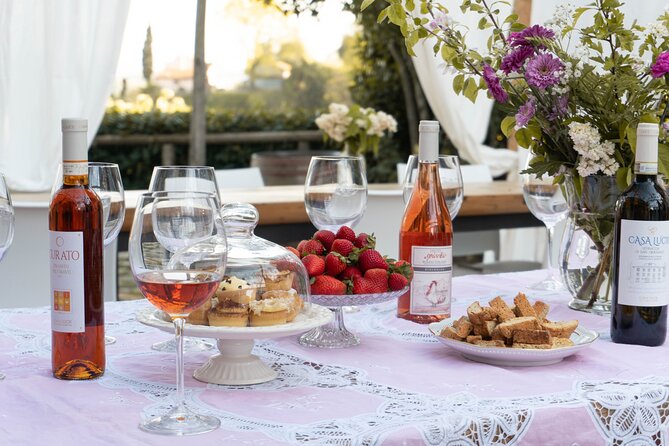 Wine and food tasting in an organic family winery - Eight organic wines with a full Tuscan meal