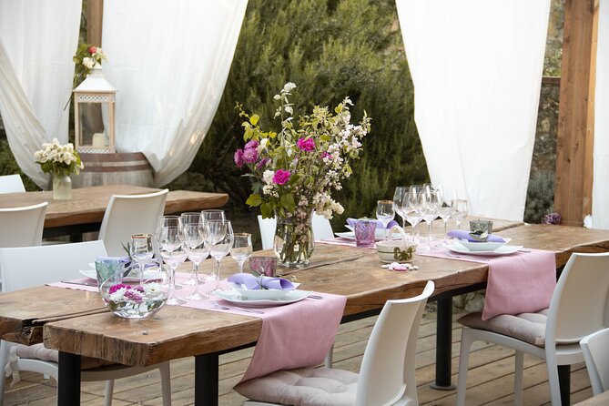 Wine and food tasting in an organic family winery - What the organic focus means for you