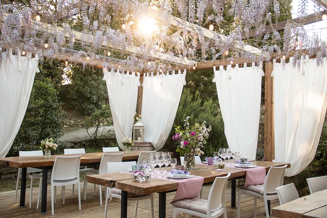 Wine and food tasting in an organic family winery - The hosting is central to the experience