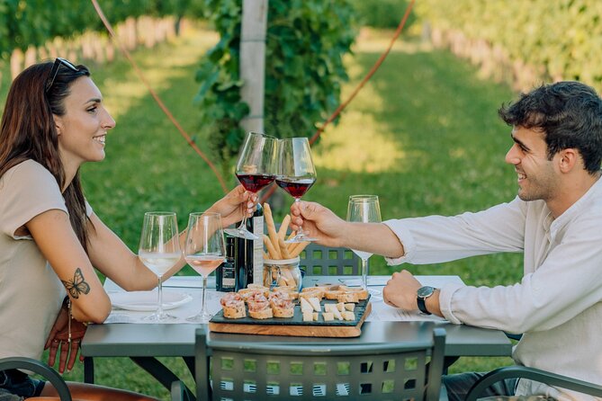 Wine and Food Tasting in the Vineyards in Lazise - Key points to know before you book