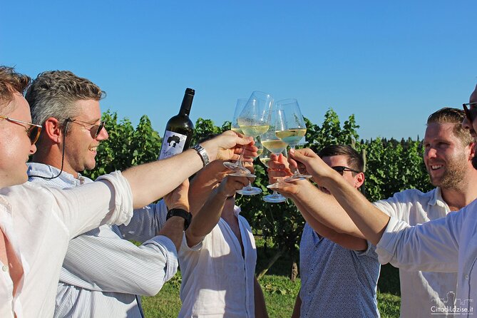 Wine and Food Tasting in the Vineyards in Lazise - A family winery just outside Lazise