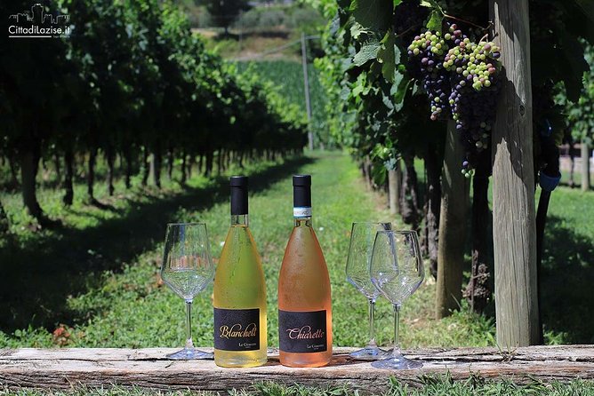 Wine and Food Tasting in the Vineyards in Lazise - Why the food matters as much as the wine