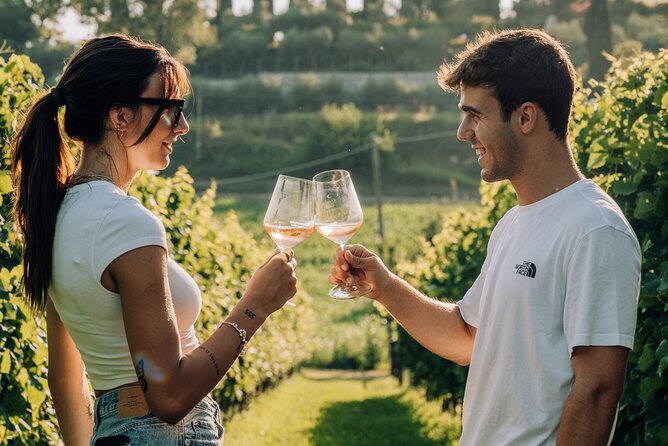 Wine and Food Tasting in the Vineyards in Lazise - Sitting among the vines