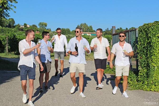 Wine and Food Tasting in the Vineyards in Lazise - What the price includes at $50.81