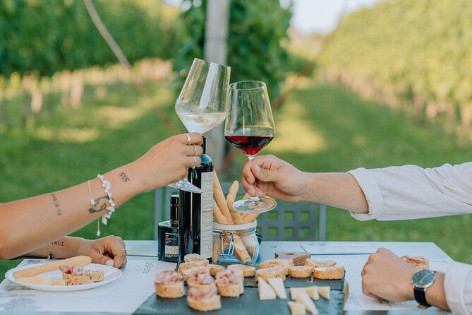 Wine and Food Tasting in the Vineyards in Lazise - Who will enjoy this most