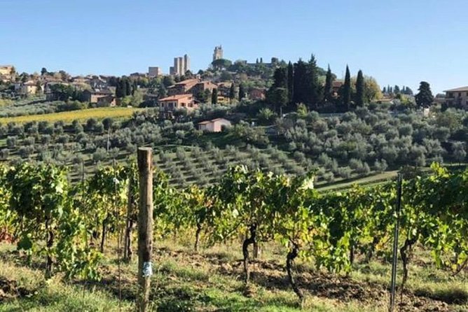 Wine and olive oil tastings with the locals - Cortona, Montepulciano, and Pienza add a sense of place