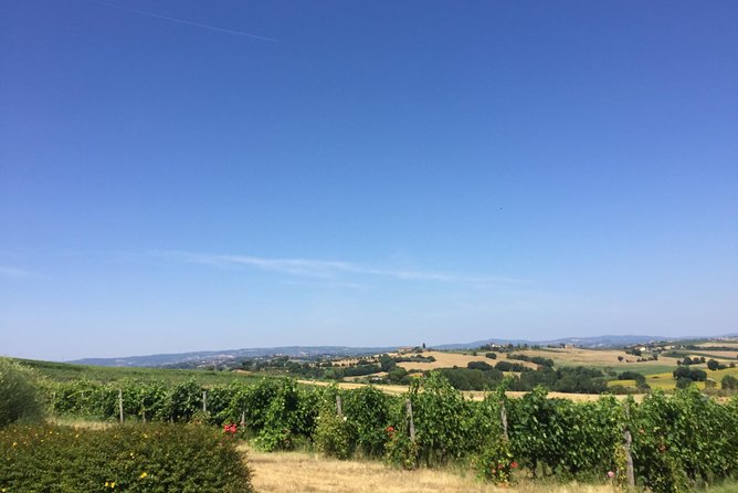Wine and olive oil tastings with the locals - Practical details that affect your day