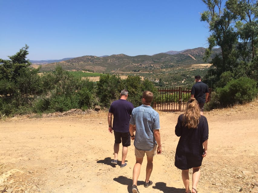 Wine Experience around Cagliari - A rural church and vineyard views