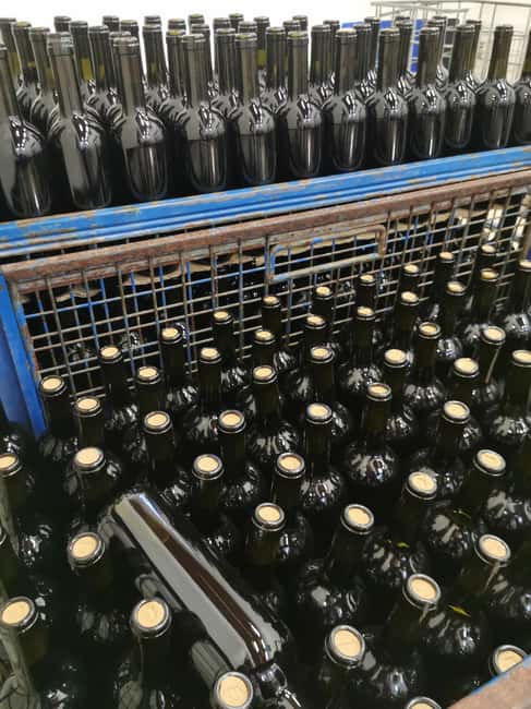 Wine Experience around Cagliari - Inside Giuseppe’s winery