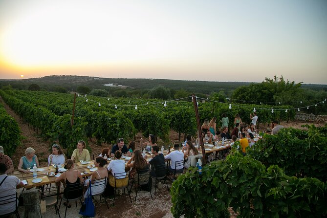 Wine Experience: vineyard, wines and food - A vineyard evening near Martina Franca