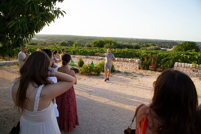 Wine Experience: vineyard, wines and food - What happens if the weather changes